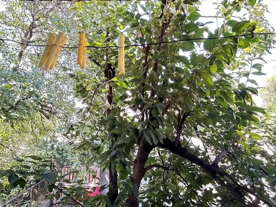 شقة Writers House Private Yard In Old تبليسي 0*,  جورجيا